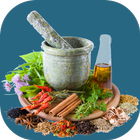 Herbs and Use OFFLINE आइकन