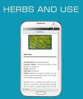 Herbs and Use OFFLINE Affiche