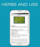 Poster Herbs and Use OFFLINE