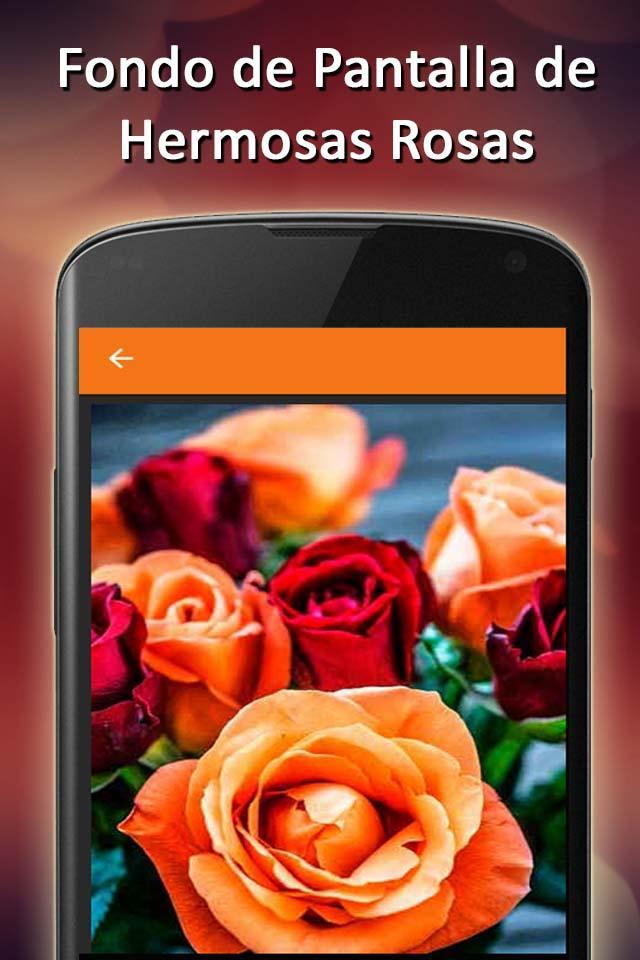 Rosas de Amor Con Frases bonitas Fondo de Pantalla APK voor Android Download
