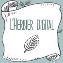 L'Herbier Digital APK