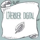L'Herbier Digital icône