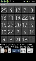 Bingo multiplayer game poster