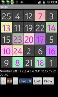 Bingo multiplayer game screenshot 1