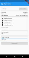 Zip Brute Force capture d'écran 2