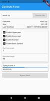 Zip Brute Force Ekran Görüntüsü 3