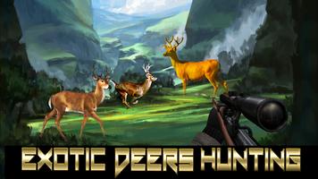 Deer Hunting Simulator 2016 capture d'écran 1