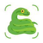Herps identifier: snake snap Zeichen