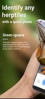 Herps identifier: snake snap Plakat