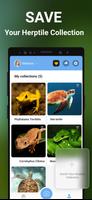 Herps identifier: snake snap Screenshot 3