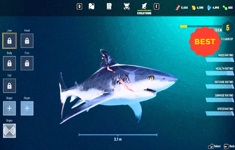 Guide ManEater Shark Game Walktrhough & Tips APK for Android Download