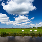 Het Weer in Nederland आइकन