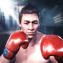Boxing King 3D aplikacja