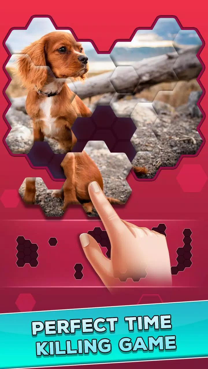 Hexa Jigsaw Epic Puzzle APK for Android Download