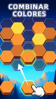 Poster Hexa Puzzle Game: Color Sort
