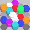 Hexa Puzzle: Hex Sorting Games