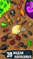 Hexapod жуки тараканы муравьи постер