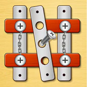 Nuts & Bolts Screw Puzzle Game