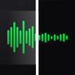 Remove Noise Audio Video