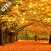 Autumn GIFs APK