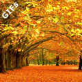 Autumn GIFs
