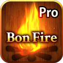 BonFire3D Pro aplikacja