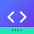 Programming Quiz
