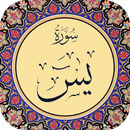 سوره یاسین با صوت و ترجمه APK