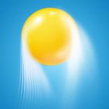 Rise-It Up Ball Protect