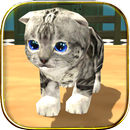 APK Cat Simulator : Kitty Craft