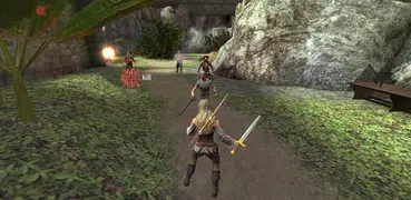 Ninja Pirate Assassin Hero 6 :