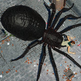 Spider Hunter Amazing City 3D иконка
