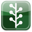 HicewatchDesk icon