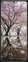 برنامه‌نما Nature Wallpaper عکس از صفحه