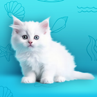 My Cat: My Dream House ícone