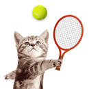 Cat Meow Tennis: Sport Battle APK