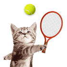 Cat Meow Tennis ícone