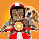 Pet Prank: Dog & Cat Fun Sound APK