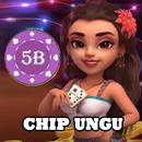 Chip Ungu Higgs Domino Guide APK