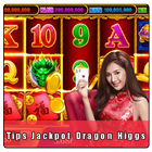 Higgs Domino Rp Dragon Jackpot أيقونة