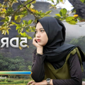 Higgs domino rp versi Guide