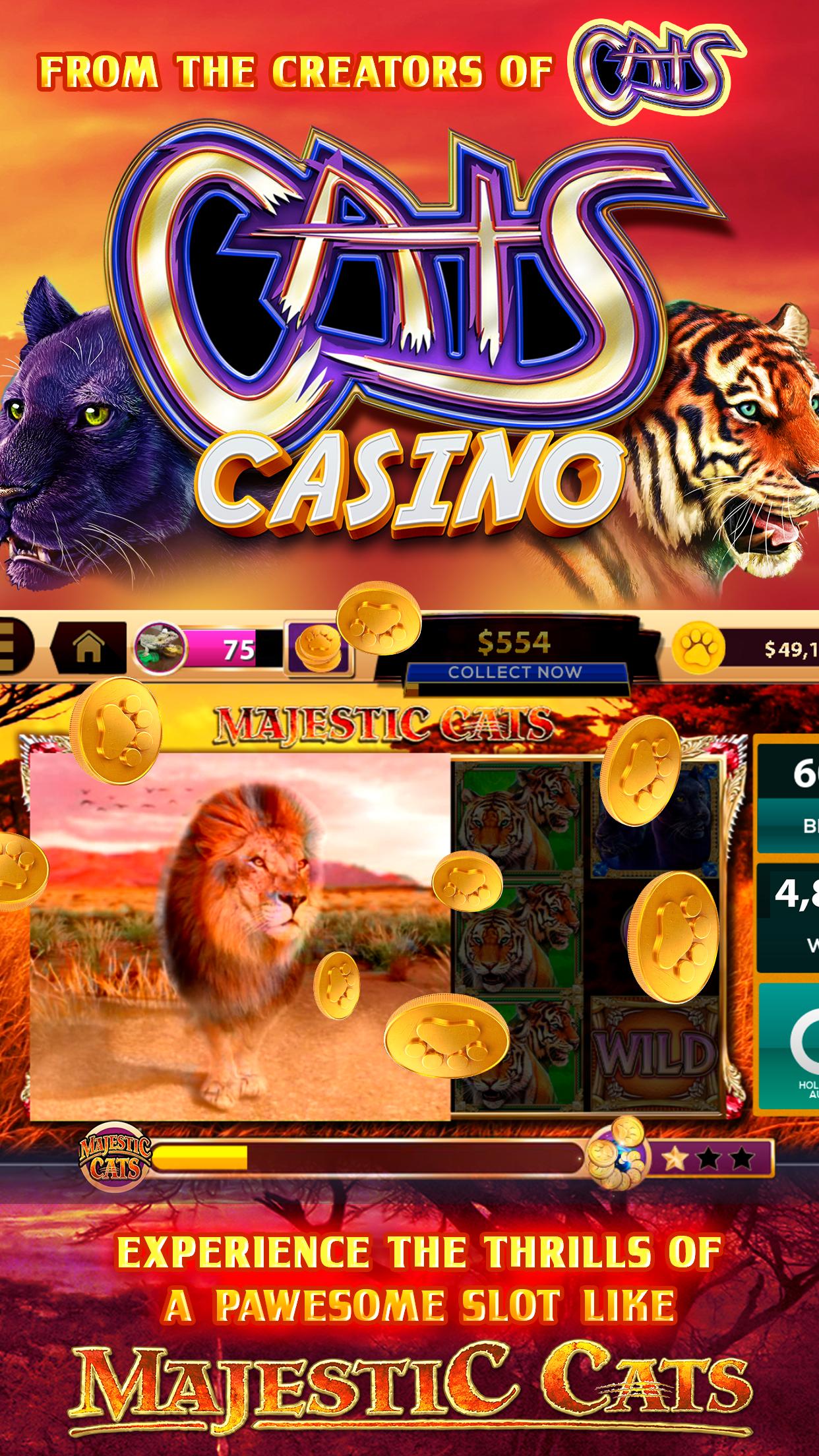 Как скачать Cat casino на телефон?