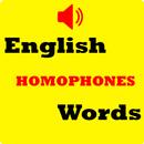 English Homophones Words 2021 APK