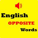 English Opposite 2021 APK