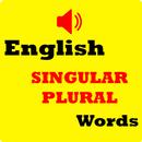English Singular Plural 2023 APK