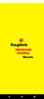 English Singular Plural 2023 Affiche