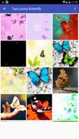 High Quality Butterfly Wallpaper capture d'écran 3