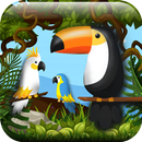 Trouver un jeu de pigeon caché APK