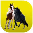 Old Town Road Button 2019 APK