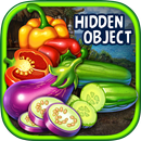 Hidden Object : Mysterious-APK